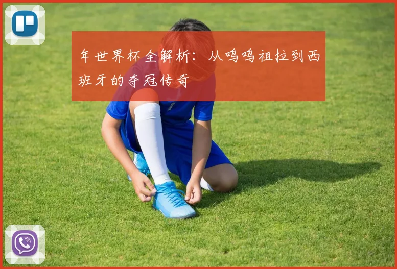 年世界杯全解析：从呜呜祖拉到西班牙的夺冠传奇