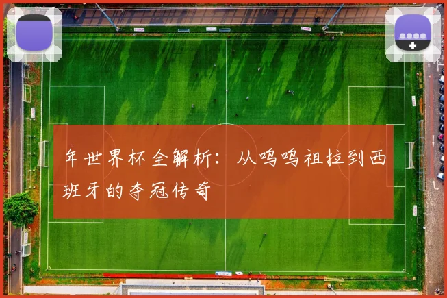 年世界杯全解析:从呜呜祖拉到西班牙的夺冠传奇